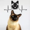 Siamese Cat Wall Sticker - Adorable Feline Vinyl Wall Art Decal - Image 2