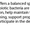 Pure Probiotics - Image 5