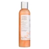 Organic Hyaluronic Acid Facial Cleanser - Image 3