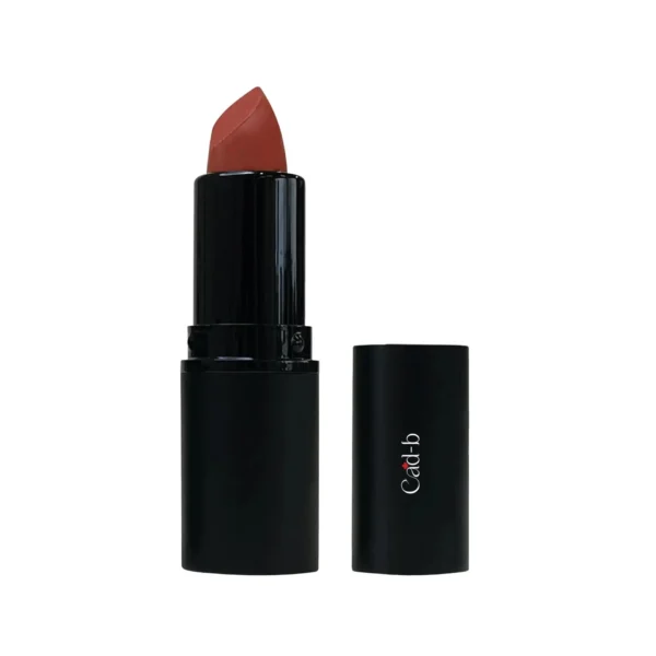 Sheer Finish Lipstick - Plum Wine - 206C | Paraben Free, Cruelty Free