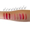 Sheer Finish Lipstick - Plum Wine - 206C | Paraben Free, Cruelty Free - Image 2