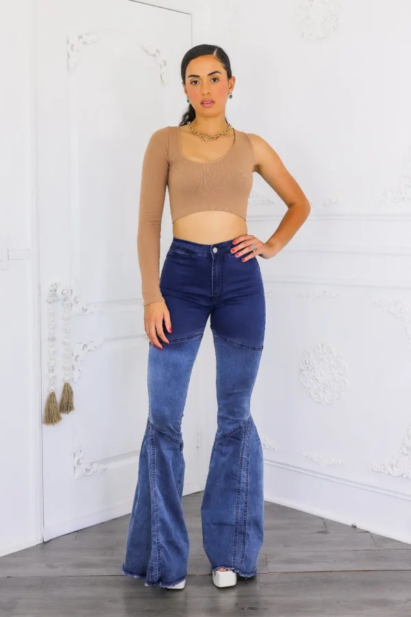 Lined Up Paneled Ombre Flares Bell Bottoms Denim Jeans