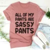 All Of My Pants Are Sassy Pants Tee - Image 2